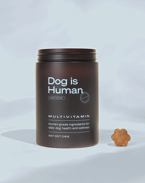 Dog is Human Daily Multivitamin for Dogs Human-grade, Vet-formulated