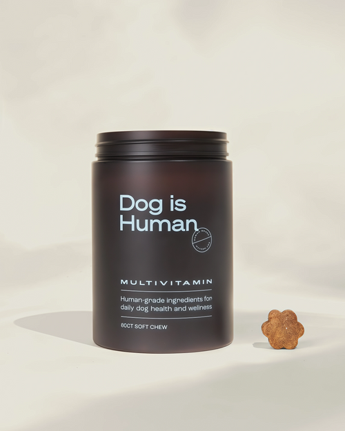 Dog is Human Daily Multivitamin for Dogs Human-grade, Vet-formulated